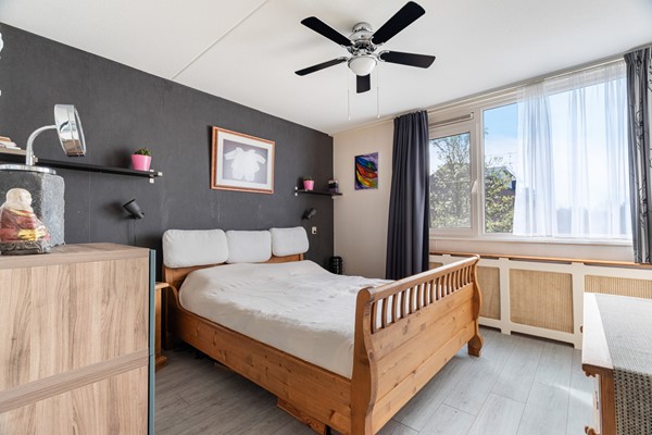 Albert Schweitzererf 6_29.jpg